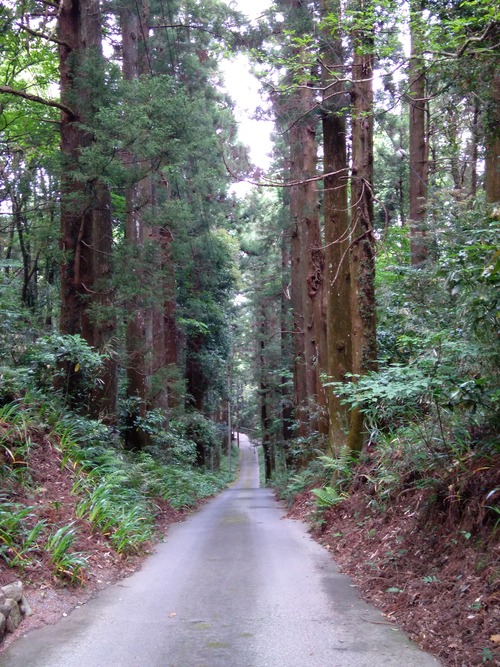 IMG_20200512_163027_BEAUTY