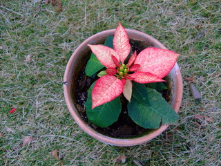 2011_1217ͼ�Ƥ�0001