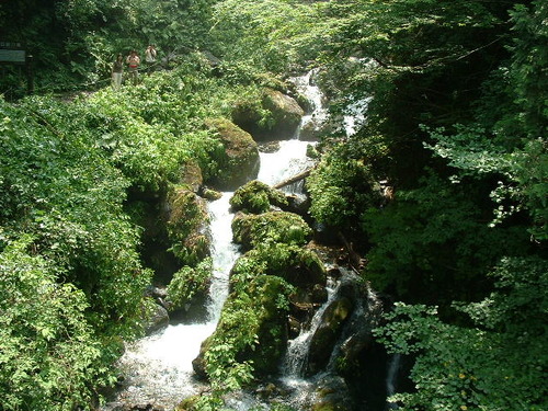 DSCF0056