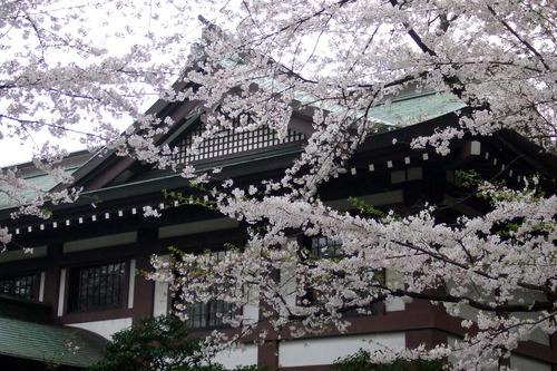 2008_0402H19��0155