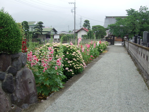 2011_0609³«À®Ä®ÃµË¬0027