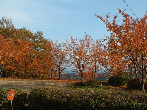 2007_1202Ƴλºµ¢¤êGH0027