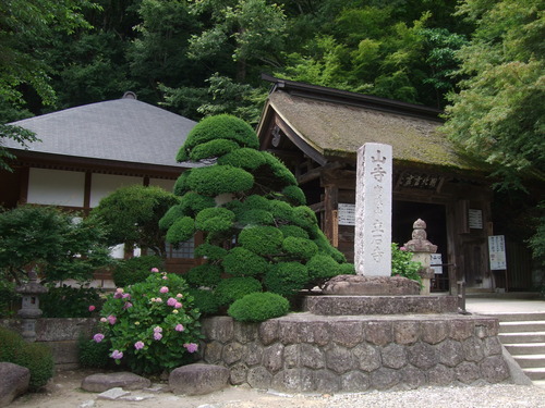DSCF0639