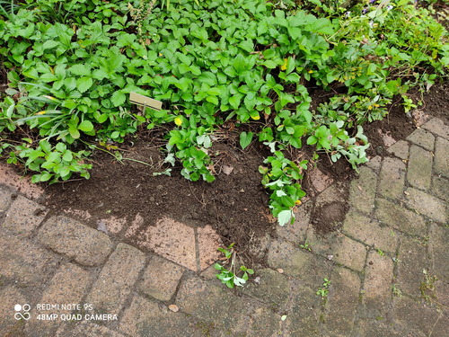 IMG_20201011_103238(1)(1)