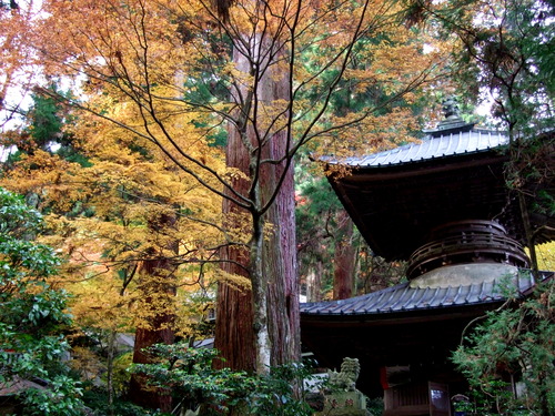 2007_1202¹ä»Ë¾»»Òº§Ìó0107