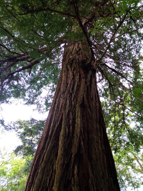 IMG_20200512_162512_BEAUTY