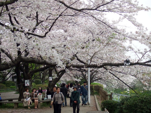 2008_0402H19��0085