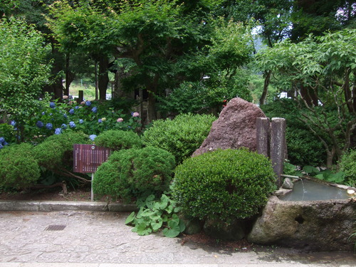 DSCF0602