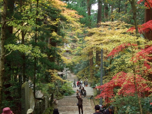 2007_1202¹ä»Ë¾»»Òº§Ìó0129