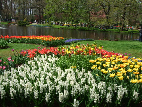 2007_0417オランダ0582