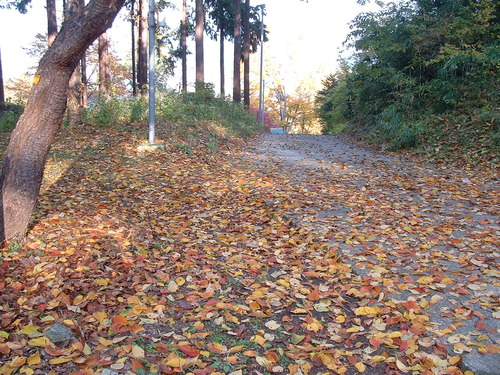 2007_1202Ƴλºµ¢¤êGH0024