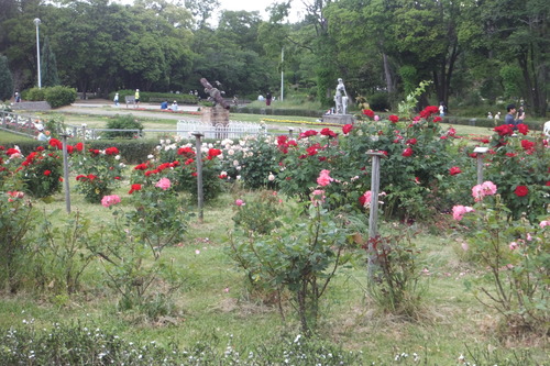 DSCF8306
