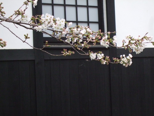 2013_0321豊橋0022