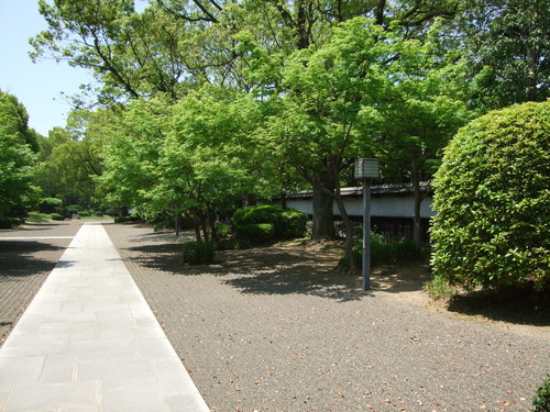 2008_0423熊本0085