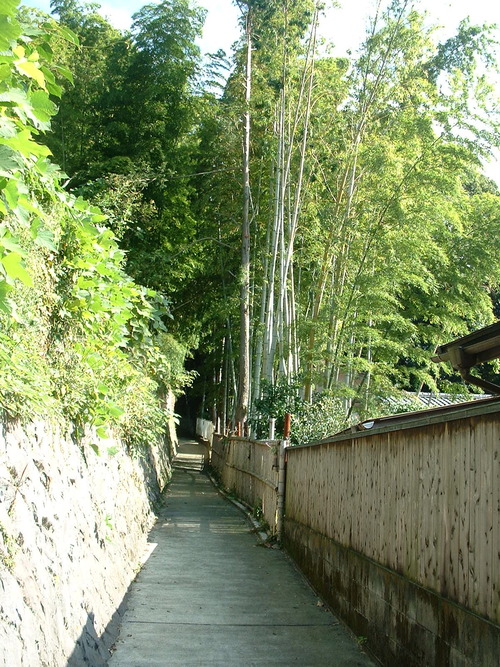 2007_1004¾®Åĸ¶ÈͶ£²0018