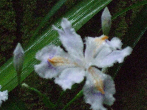 2007_0509¿®½£0039