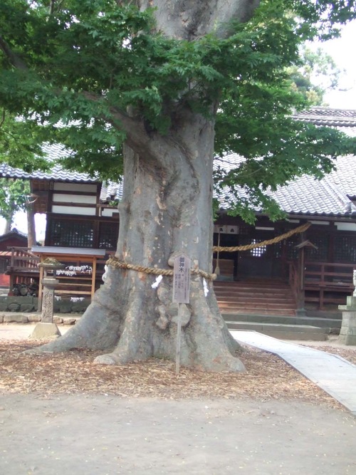 2006_0808�򺬻�0018