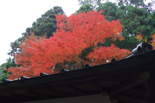 2007_1202¹ä»Ë¾»»Òº§Ìó0098