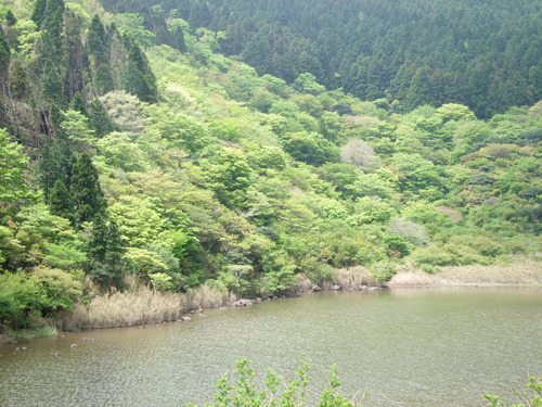 2008_0515���Υۥƥ�ĤĤ�0049