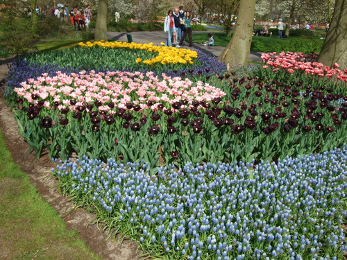 2007_0417オランダ0592
