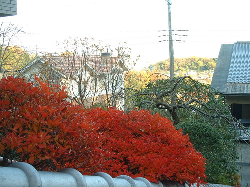 2007_1202Ƴλºµ¢¤êGH0055