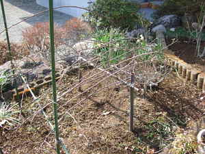 2010_0118�Ĥ�Х�������0010