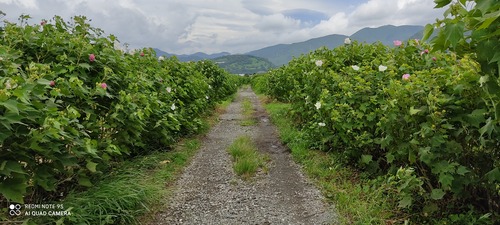 IMG_20200918_103038