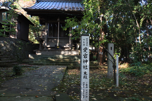 ���ĸ����Ķ� (5)