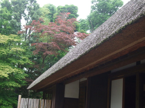 2011_0609³«À®Ä®ÃµË¬0023