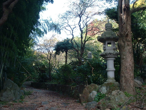 2007_1004¾®Åĸ¶ÈͶ£²0021