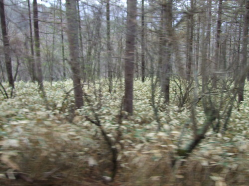 2007_0509¿®½£0103