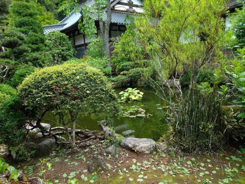 IMG_20200512_161241_BEAUTY (1)