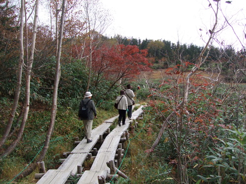 2007_1017��������0186