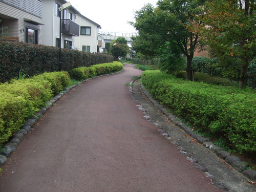 2012_1017丘陵古墳群0093