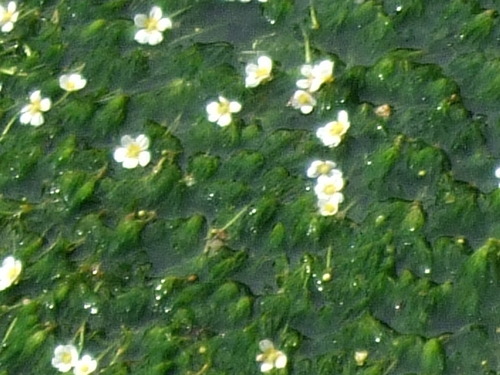 2008_0827����0047