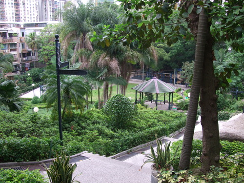 2008_0508����ޥ���0145