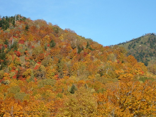 DSCF0015