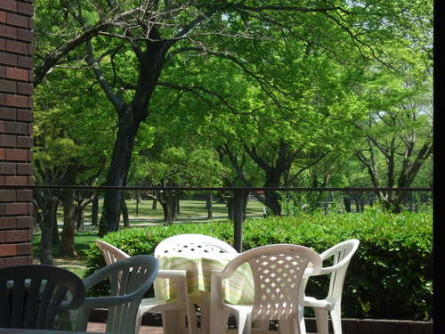 2008_0423熊本0079