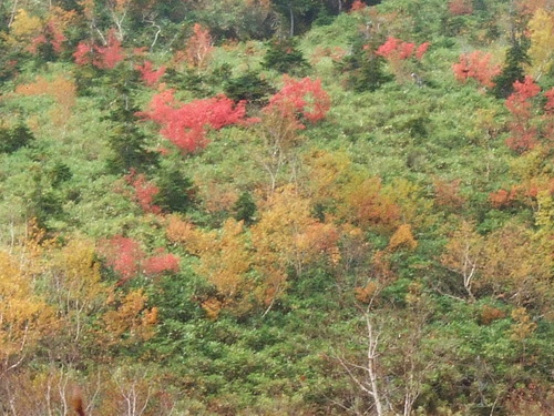 2007_1017��������0173