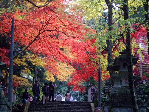 2007_1202¹ä»Ë¾»»Òº§Ìó0066