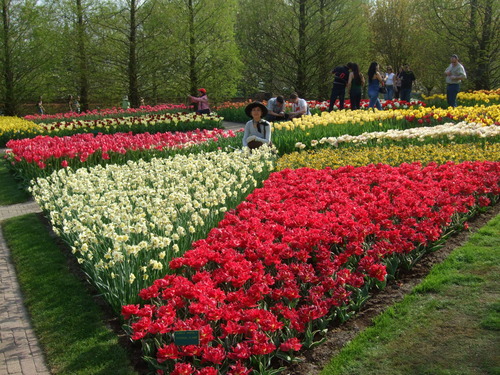 2007_0417オランダ0619