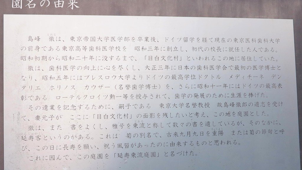 花咲かすおじさん                g2009h