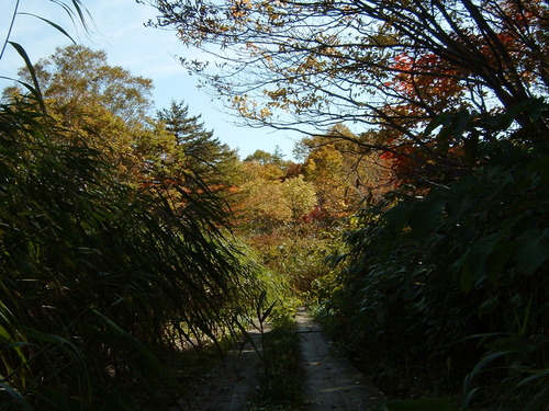 DSCF0019