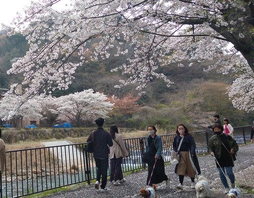 IMG_20230402_141148-1