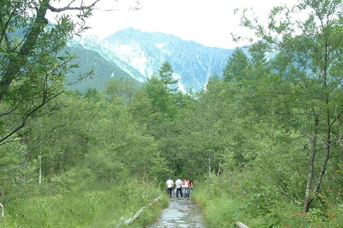 2006_0808�����0087-1