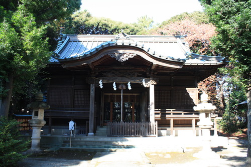 ���ĸ����Ķ� (10)