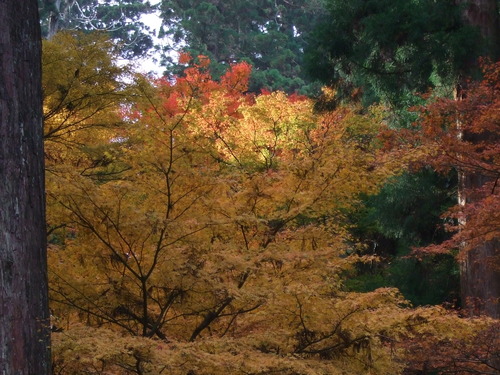 2007_1202¹ä»Ë¾»»Òº§Ìó0108