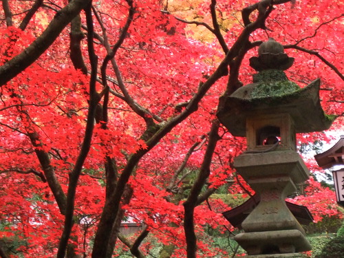 2007_1202¹ä»Ë¾»»Òº§Ìó0126