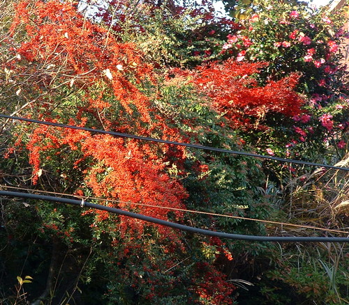 2007_1202Ƴλºµ¢¤êGH0040