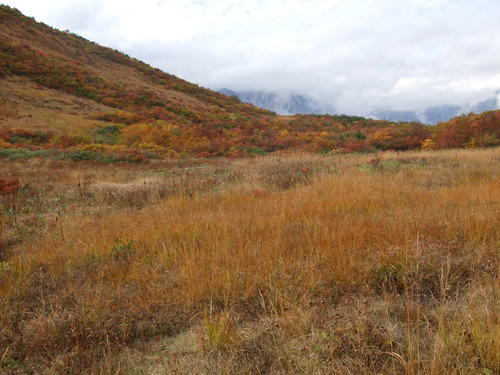 2007_1017��������0056